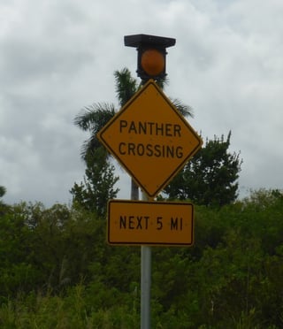 LED blank out signs its application