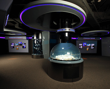 Transportation Products